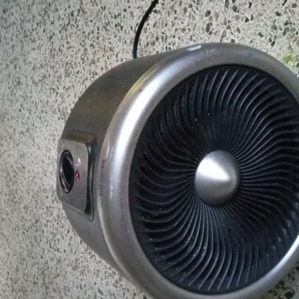 Fan